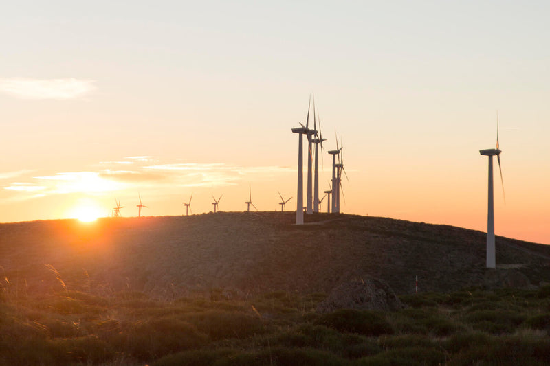 L.A. Pushes Forward on Hydrogen Power: Scattergood Plant Conversion Sparks Debate