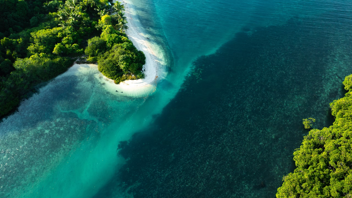 Tellus Materials 邁向綠氫整合的新篇章：以在地解決方案連接淨零未來