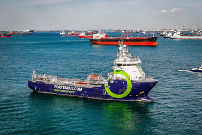 氨：理想與現實